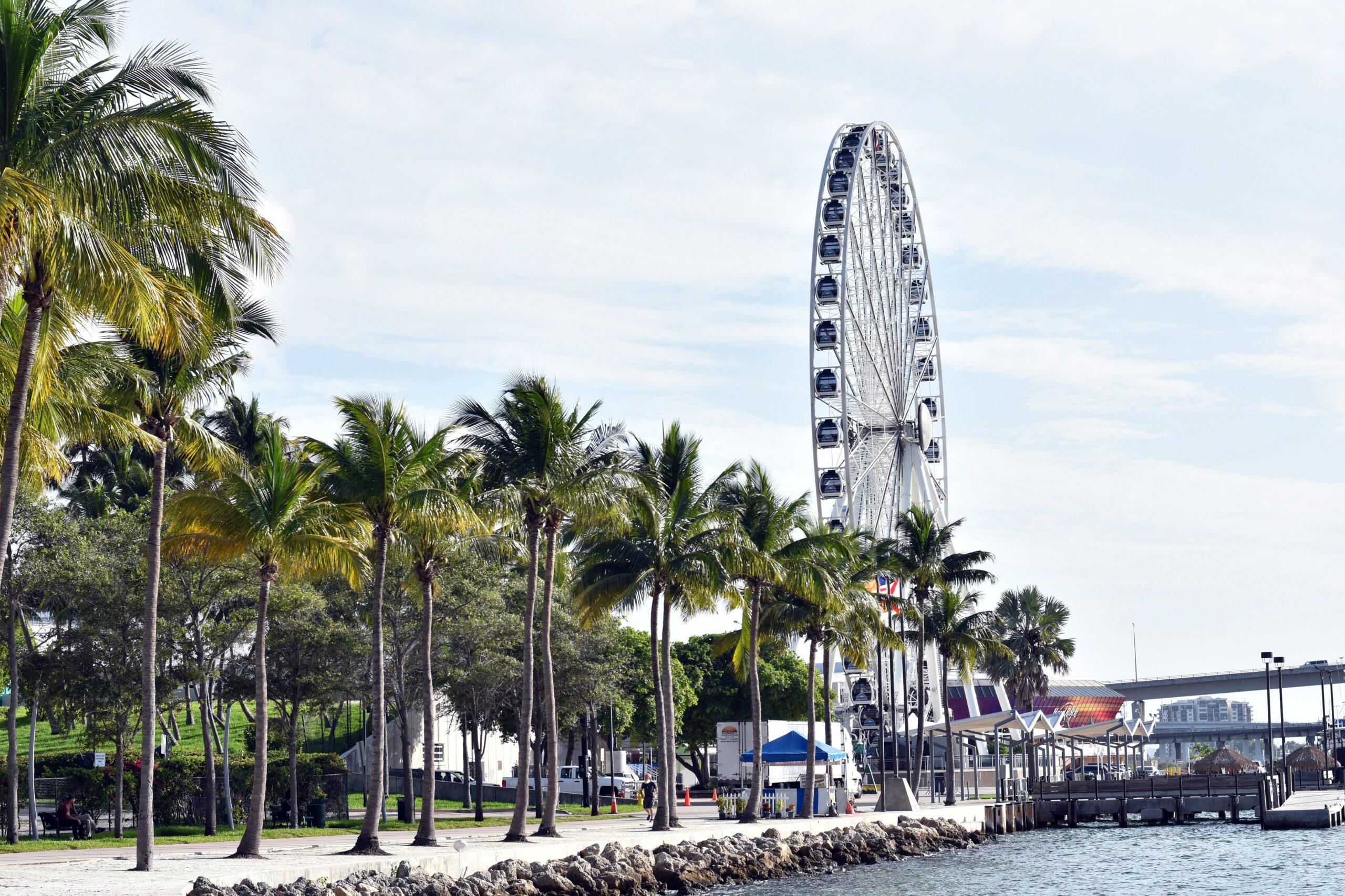 miami waterfront
